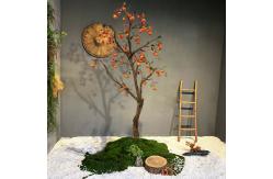 China Garden Bonsai Artificial Persimmon Tree Retro Style Landing Fruit Plant supplier