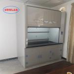 Integrated Structure Laboratory Chemical Hood With Scruuber Tank ODM for sale