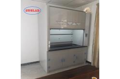 China Integrated Structure Laboratory Chemical Hood With Scruuber Tank ODM supplier