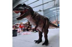 China Mechanical Very Big  Walking Professional Robotic Realistic Dinosaur Costume supplier