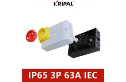 China PC IP65 40A 3 Phase Isolator Switch Light Control Switch IEC standard supplier