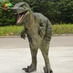 1.7m Animatronic Dinosaur Velociraptor Costume Realistic Create Spectacular Jurassic Scenes for sale