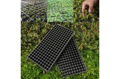 China Incredible innovation seed trays root trainer of plastic supplier