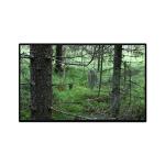 TV101WUB-NW1-D9P0 10.1 inch 1200*1920 LCD Panel Display for sale