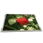 G104XVN01.0 1024x768 IPS Industrial 10.4 Inch LCD Display for sale