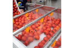 China Multifunction Fruit And Vegetable Processing Line Parallel Brush Machine supplier