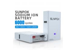 China Lithium Ion Sodium Ion Batteries 48V Built In Smart BMS supplier