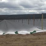 Non Woven PP Agricultural Crop Cover Jointed Width For Frost Protection for sale