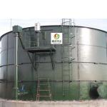 Biogas Anaerobic Digester Tank CSTR Sludge Digester In Wastewater Treatment for sale