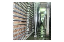 China Energy-Efficient Cyclone Dust Extractor - Modular Design for Customizable Filtration Solutions supplier