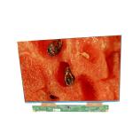 10.1 Inch Industrial LCD Panel Display GV101WXB-NN0-3GP0 LCD Monitors Screen for sale
