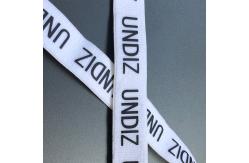 China Customized Silicone Printing Nylon Elastic Band Non Slip Webbing supplier