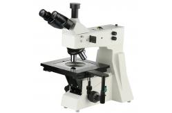 China Infinity High Precision Compound Optical Microscope A13.0207 Binocular Trinocular 4 Holes supplier