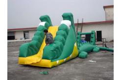 China Aqua Floating Water Sports, Inflatable Crocodile Water Obstacle Course supplier