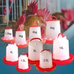 Broiler Outdoor 3kg Plastic Poultry Feed Trays Chicken Drinker for sale