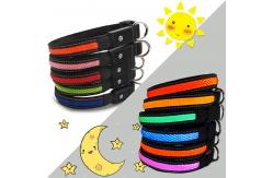 China USB Rechargeable Light Up Dog Collar , LED Flashing Dog Collar Night Visible Safe supplier