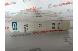 China Hima Controller F3330 Manufactured by HIMA OUTPUT MODULE DIGITAL 8POINT supplier