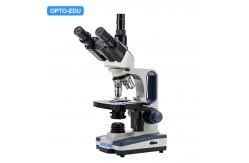 China A11.1170-T Compound Optical Microscope Biological Wf10x supplier