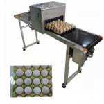 Poultry Husbandry Egg Small Character Inkjet Printer With USB Unlimited Storage for sale