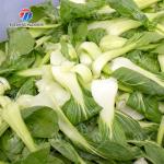 Canteen 1000KG/H Fruit And Vegetable Cutter Shredding Slicing And Dicing