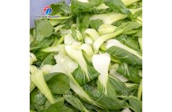 China Canteen 1000KG/H Fruit And Vegetable Cutter Shredding Slicing And Dicing supplier