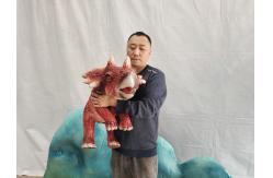 China Hand Control Baby Animatronic Dinosaur Triceratops Puppet for Sale supplier