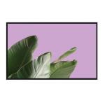 49 Sunlight Readable LCD High Brightness  High Tni Lcd FHD DLED Design