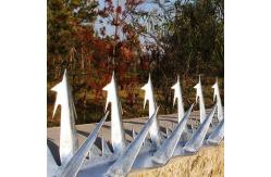 China 1.25m Garden Gate Security Spikes supplier