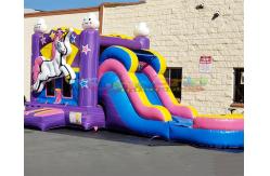 China Backyard Unicorn Jumping Castles Inflatable Bounce House Water Slide supplier
