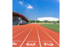 China 13mm Thickness Synthetic Sports Flooring PU Glue Mix SBR Playground supplier
