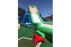 China hippo giant inflatable water slide for kids and adults supplier