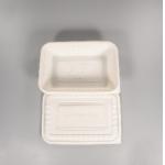 Compostable 1000ml 34oz PLA Tableware with lid 230x160x48cm for sale