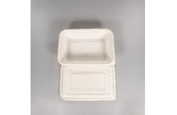 China Compostable 1000ml 34oz PLA Tableware with lid 230x160x48cm supplier