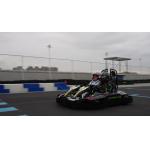 9kw Electric Single Motorized Go Kart 3000RPM For 10 Year Olds Kids for sale