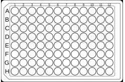China Quartz Glass 96 Well Enzyme Hemagglutinin Fused Quartz Plate UV Resistant supplier