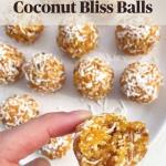 CE certificated bliss Ball Making Rounder Machine  Date Ball Rolling Machinery