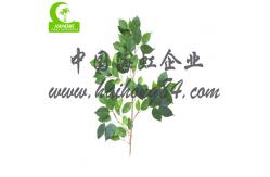China Real Touch 170cm High Artificial Ficus Tree , Silk Artificial Tree For Office supplier