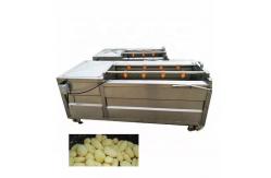 China 1.1KW Fruit Vegetable Processing Machine Potato Washing And Peeling Machine supplier