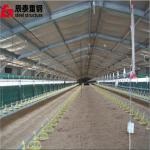 Light Weight Prefab Farm Buildings Construction Steel Framed Agricultural Buildings for sale