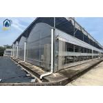 Multi Span Herb Greenhouse Farming UV Resistant With Hydroponic System
