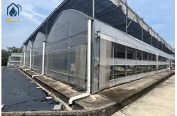 China Multi Span Herb Greenhouse Farming UV Resistant With Hydroponic System supplier