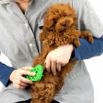 Dog Hair Pet Massage Pet Cleaning Brush Deodorant Antipruritic for sale