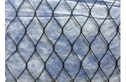 China 1.2mm 25mm Mesh Eye Size Inox Black Oxide Aviary Netting supplier