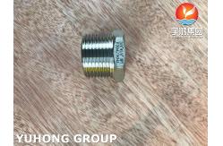 China ASTM A182 F304 Threaded Hex Head Bushing supplier