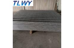China Anping TLWY Galvanized Welded Welded Wire Mesh Panel 75mm-300mm supplier