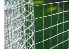 China 0.5mm Galvanized Plastering Welded Wire Fabric With High Tensile Strength supplier
