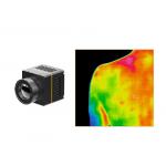 384x288 Infrared Thermal Module 17um For Measuring Human Skin Temperature for sale