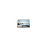 LC420WU1-SLB1 LCD Screen Display Panel 42.0 Inch for sale