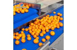 China Fruit and vegetable selection  washing and drying production line supplier