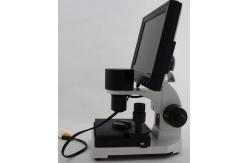 China Professional Microcirculation Microscope / Nailfold Capillary Microscopy with CCD Video Camera supplier